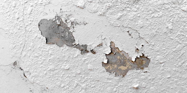 Pintar Fachadas de Naves Industriales, Fábricas y Almacenes Chella · Pintura Antihumedad / Antimoho para Humedades / Moho