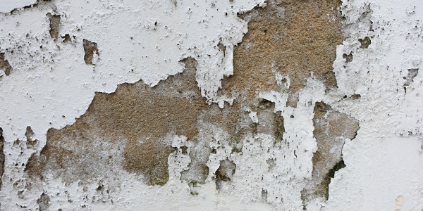 Pintar Fachadas de Empresas / Negocios / Locales Comerciales Montroi · Pintura Antihumedad / Antimoho para Humedades / Moho